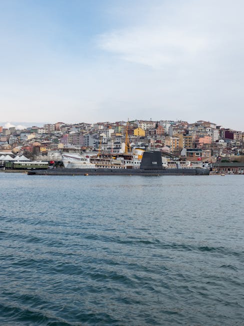 Captivating view of Istanbul's Bosphorus and urban landscape featuring iconic harbor ships.